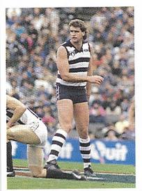 1991 Select AFL Stickers #132 Darren Flanigan Front